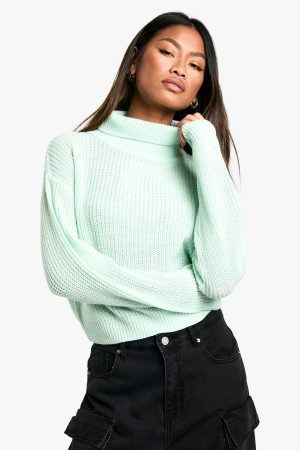 Basic Roll Neck Crop Jumper
