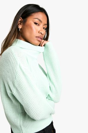 Basic Roll Neck Crop Jumper