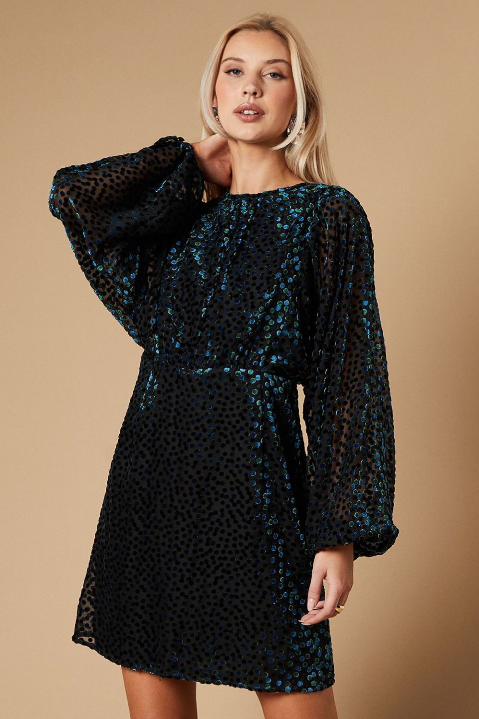 Velvet Long Sleeve Mini Dress