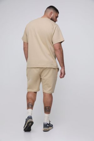 Plus Regular Fit T-shirt and Pintuck Short Interlock Set