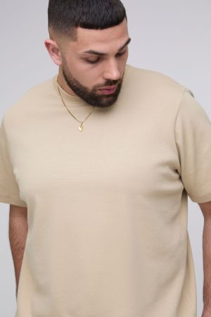 Plus Regular Fit T-shirt and Pintuck Short Interlock Set