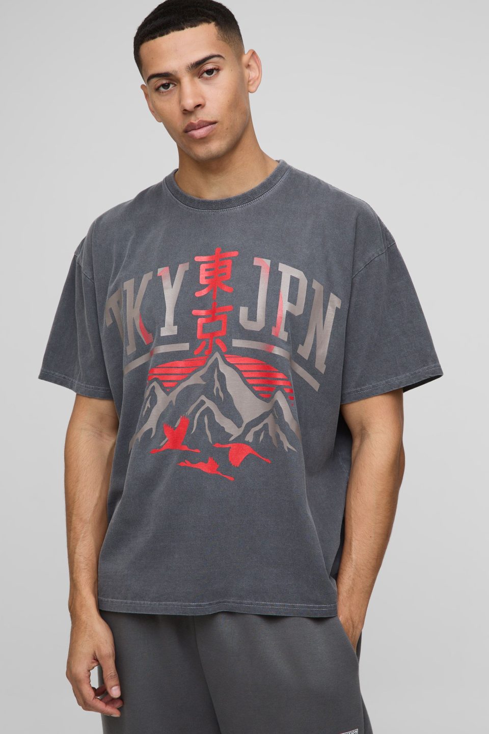 Oversized Tokyo Japan Mountain Washed T-Shirt
