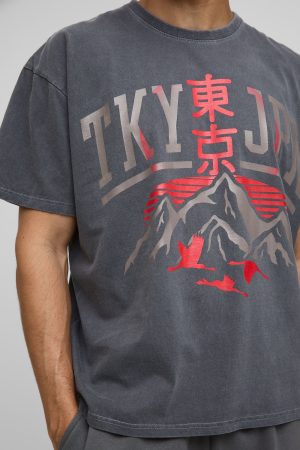 Oversized Tokyo Japan Mountain Washed T-Shirt