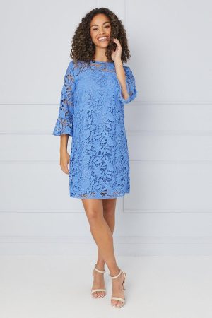 Lace Ruffle Sleeve Shift Dress