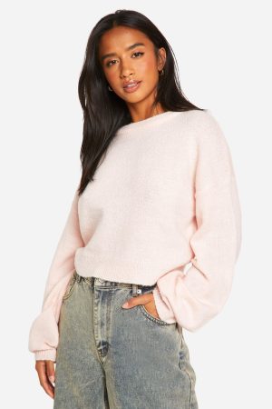 Petite Soft Knit Crew Neck Crop Jumper