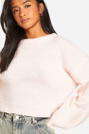Petite Soft Knit Crew Neck Crop Jumper