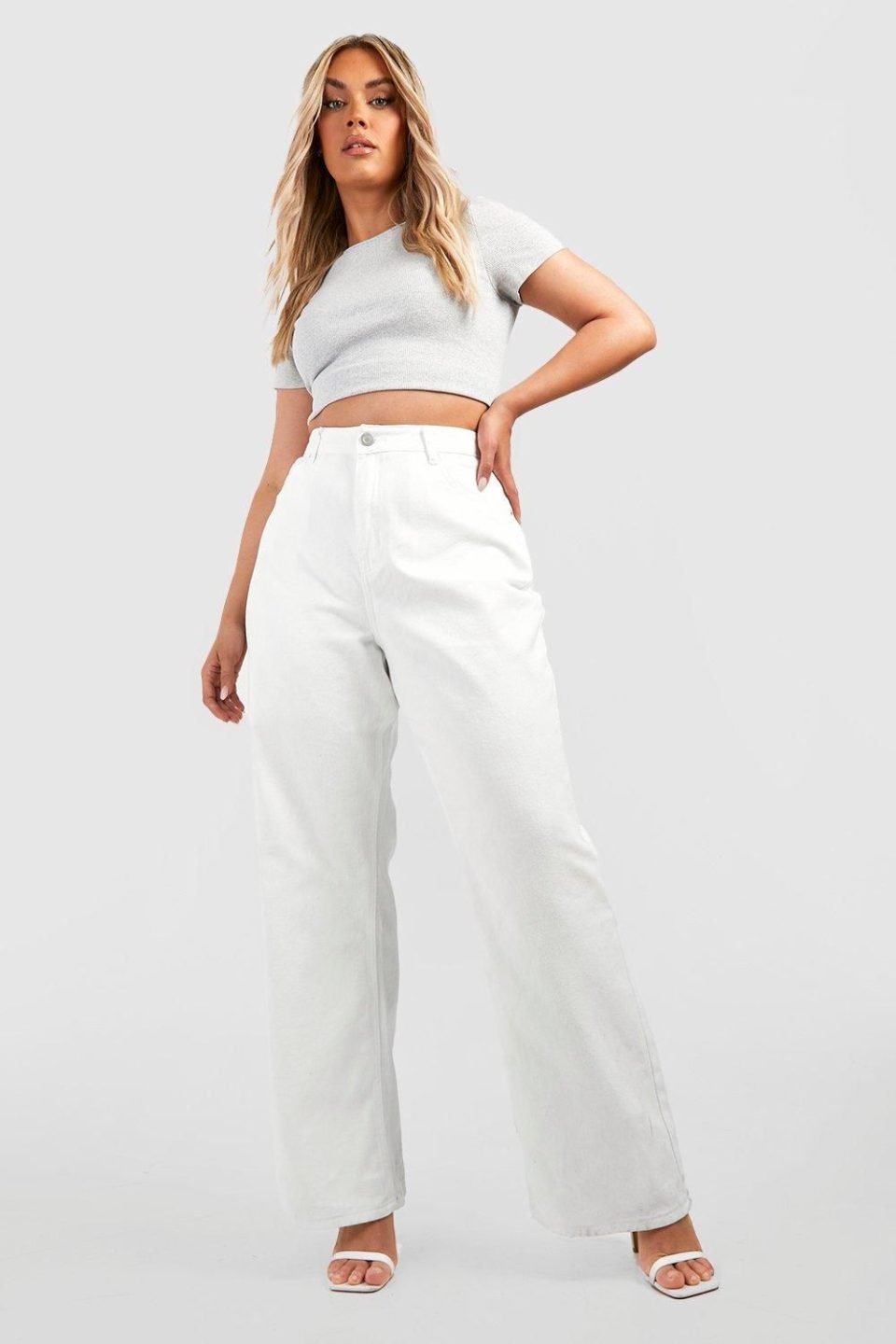 Plus Denim Wide Leg Jean