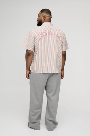 Plus Oversized Worldwide Embroidery Slogan Stripe Shirt